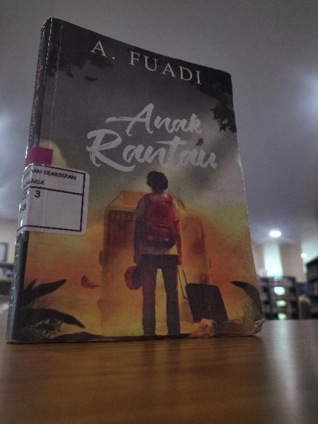Anak Rantau: Berkelana Agar Memahami